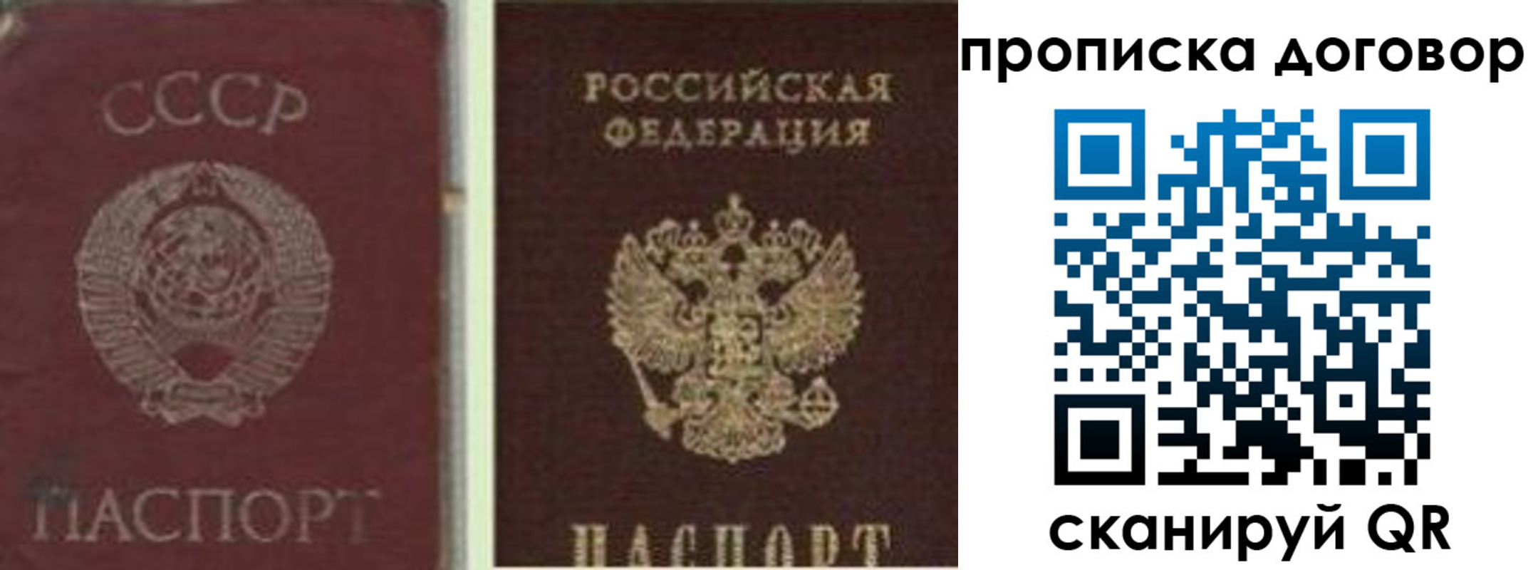 прописка гарантия в России